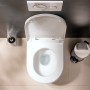 hansgrohe EluPura Original S WC-Sitz mit SoftClose und QuickRelease