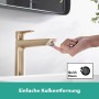 hansgrohe Pulsify E Duschkopf 260 1 Strahlart, eckig