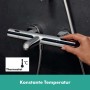hansgrohe Ecostat Fine Wannenthermostat Aufputz