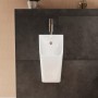 hansgrohe EluPura Original Q Urinal 600/300 mit Zulauf von oben und Ablauf nach unten/hinten spülrandlos, HygieneEffect