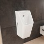 hansgrohe EluPura Original Q Urinal mit Zulauf von hinten und Ablauf nach unten/hinten spülrandlos, SmartClean