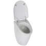 Villeroy & Boch Arriba Urinal-Deckel
