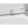 hansgrohe EluPura S Wand WC Set 540 AquaFall Flush mit WC-Sitz mit SoftClose und QuickRelease
