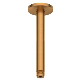 Duravit Brausearm mit Deckenanschluss 20 cm