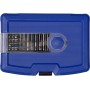 PROJAHN COLOR Bit-Box Universal mit 6,3 / 1/4" 25 mm + 38 mm + 75 mm 60-tlg. Ratschenschraubendreher