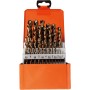 PROJAHN Spiralbohrer-Kassette HSS-Co DIN 338 ECO 25-tlg.