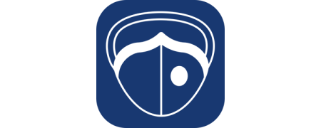 Protezione respiratoria pro (FFP, Maschere) | SUVA | Gross Schweiz AG