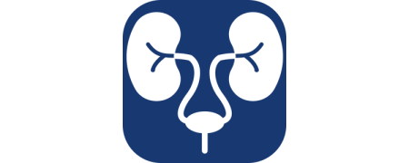 Urologie