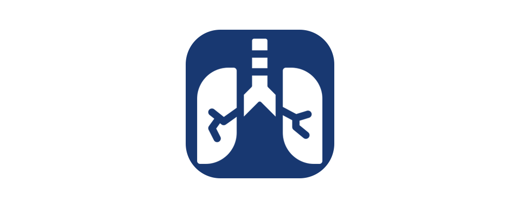 Terapia respiratoria (Profi) | Ossigeno & Aerosol | Gross Schweiz AG